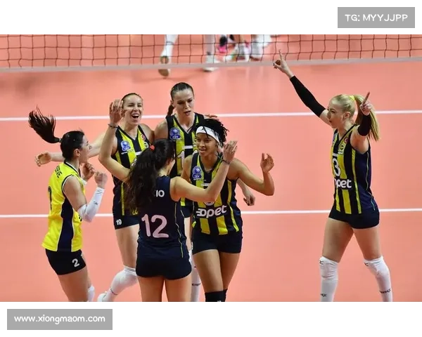 奥斯曼尼上演暴力隔扣波神 土耳其替补席疯狂庆祝